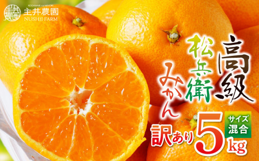 ZS6121n_主井農園 松兵衛みかん 5kg (サイズ混合) 【訳あり 家