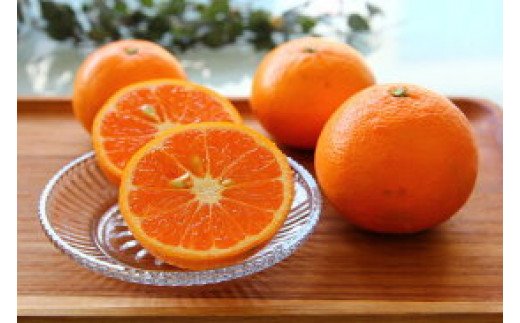 ZS6125n_高級カラマンダリン　5kg