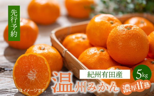 G7344_紀州 有田産 濃厚甘熟 温州みかん 5kg (小粒サイズ)