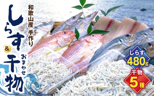 DL6002n_しらす ・ 干物 おまかせ詰め合わせ セット B