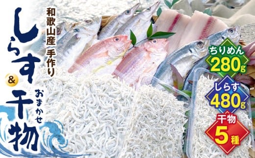 DL6003_しらす ・ 干物 おまかせ詰め合わせ セット C