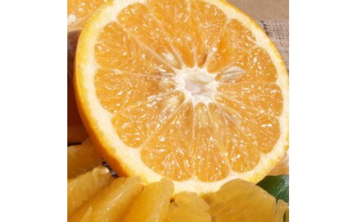 V7416_甘夏(あまなつ)秀品約7kg 和歌山県有田産 春みかん 春柑