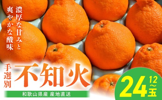 BL6016n_【産地直送】【2026年先行予約】和歌山県産 不知火 12
