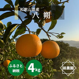 BL6113n_【2026年先行予約】【産地直送】和歌山県産 八朔 4kg (M