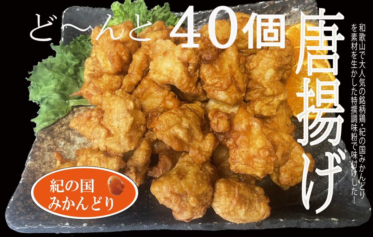 DO6004n_紀の国みかんどり 特選 唐揚げ【からあげ 鶏から 冷