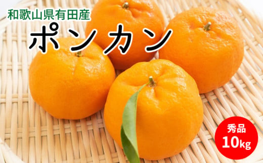 U6227n_【2026年先行予約】ポンカン 秀品 約10kg 和歌山県有田