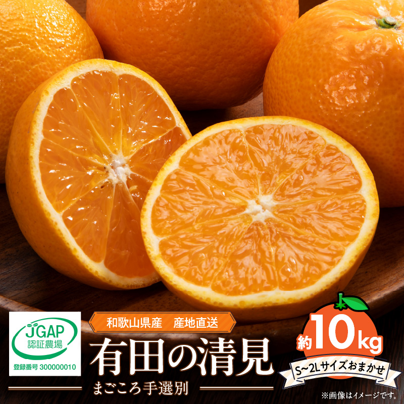 ZE6366n_【2026年先行予約】和歌山県産 有田の 清見 10kg (S～2L