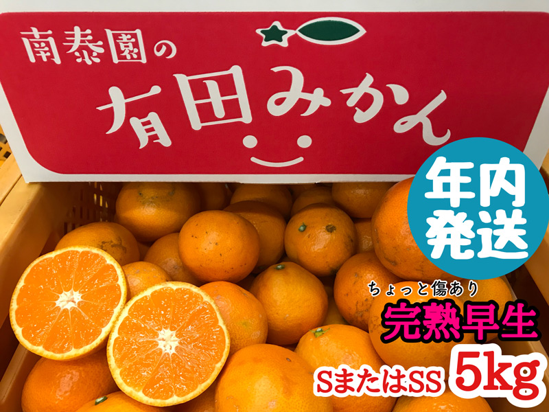 ZF6052n_≪年内発送≫ちょっと傷あり【完熟早生・有田みかん