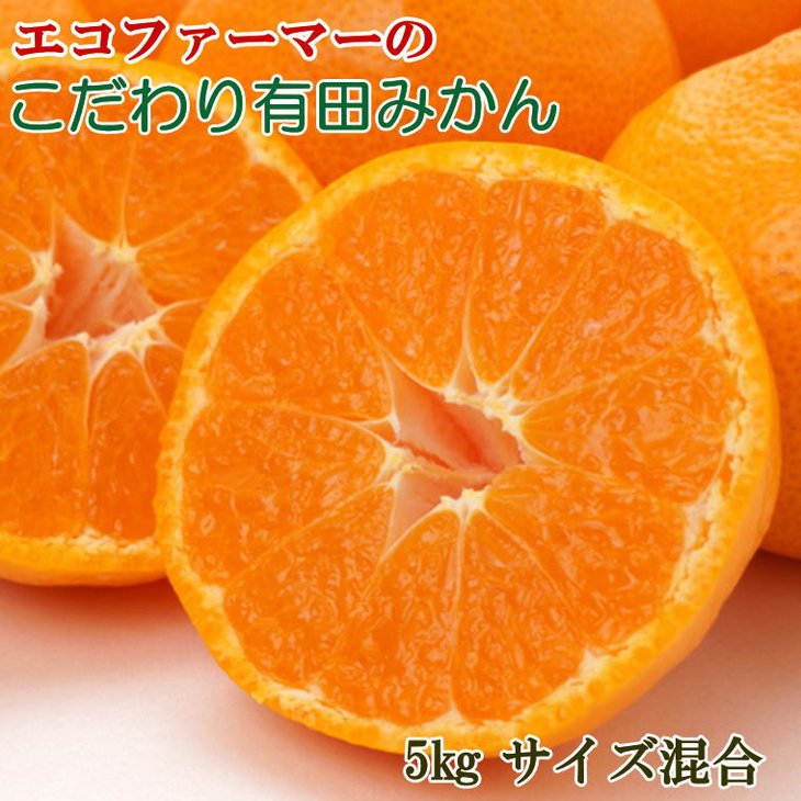 ZD92067_エコファーマーのこだわり 有田みかん 5kg (サイズ混