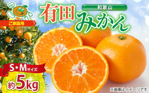 ZJ6078_ご家庭用　和歌山 有田みかん 約5kg (S、Mサイズ)【湯浅