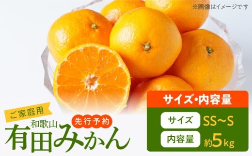 AT6323_ご家庭用　旨味凝縮 有田みかん 約5kg (SS、Sサイズ)【