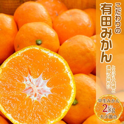 EA6015n_濃厚な味わいのこだわり 有田みかん 2kg (早生みかん