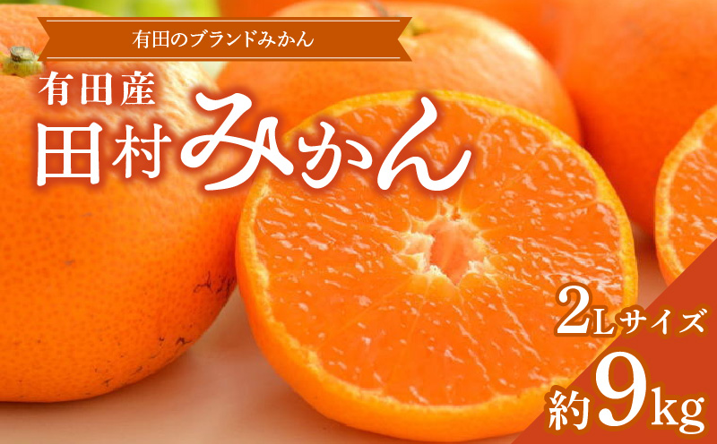 ZD7029_数量限定【ブランドみかん】田村みかん 約9kg (2Lサイ