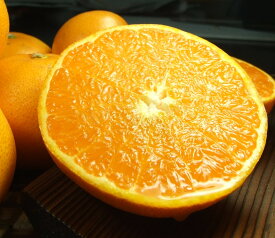 V7411_せとか 秀品 約2.8kg 和歌山県有田産 春みかん 春柑橘 (