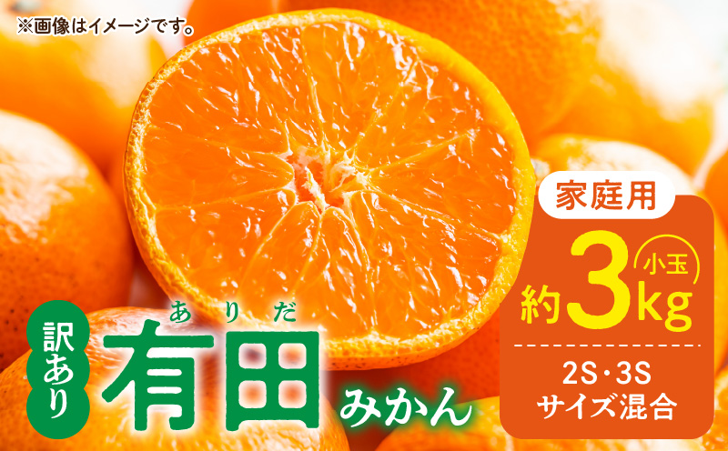 DZ6033_【2026年先行予約】家庭用 ご有田みかん 和歌山 小玉(2S