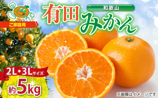 ZJ6084_ご家庭用　和歌山有田みかん 約5kg (2L、3Lサイズいずれ