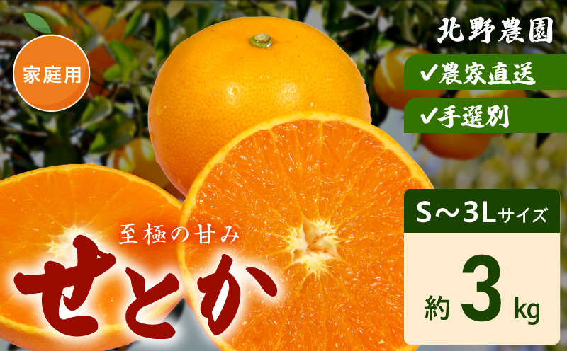 DZ6207_ご家庭用 せとか 和歌山 有田 S～3Lサイズ 大きさお任