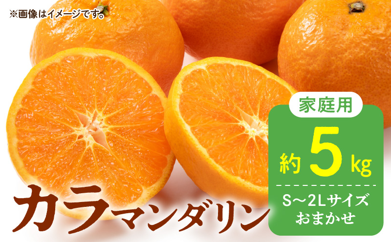 DZ6212_【2026年先行予約】秀品 カラマンダリン なつみ 和歌山