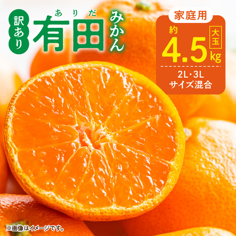 DZ6218_【2026年先行予約】ご家庭用 有田みかん 和歌山 大玉(2L
