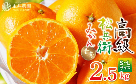 ZS6143n_主井農園 高級 松兵衛みかん 赤秀 2.5kg (S～Lサイズお