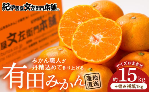 V7440_有田みかん 約15kg(+傷み補填分1kg)=合計16kg【サイズおま
