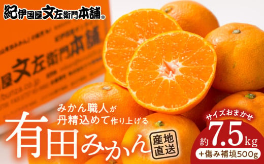 V7441_有田みかん約7.5kg(+傷み補填分500g)=合計8kg【サイズおま