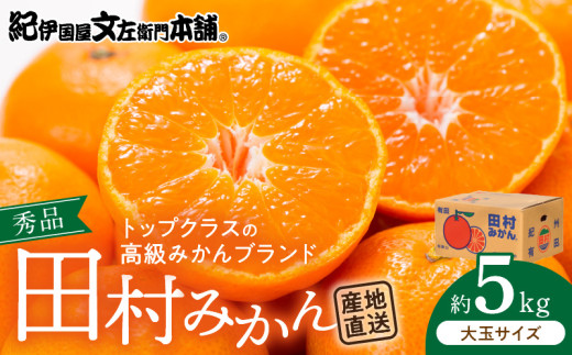 V7451_田村みかん／5kg秀品【大玉サイズ】/ 紀州和歌山有田郡