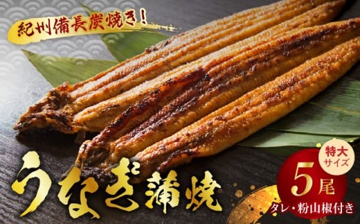 V7303_炭焼き うなぎ 蒲焼 特大サイズ 5尾 セット（約200g前後