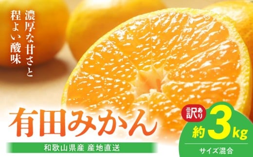 BL6171_【産地直送】和歌山県産 有田みかん 3kg サイズ混合 【