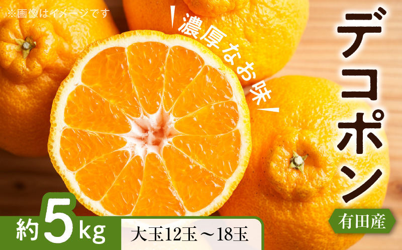 ZD7000_【お味濃厚】紀州有田産 の 大玉 デコポン 5kg (12玉～18