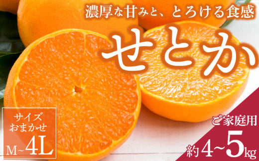 ZD7003_【2026年先行予約】一度は食べていただきたい 有田産