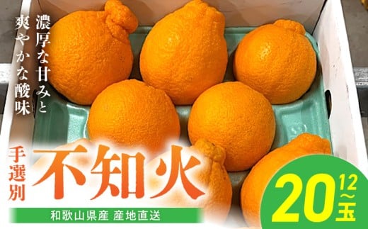 BL6104n_【2026年先行予約】和歌山県産 不知火 12玉～20玉