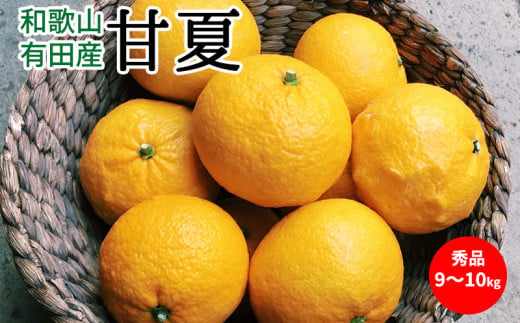 U6304_【2026年先行予約】甘夏 秀品 約9～10kg 和歌山県有田産