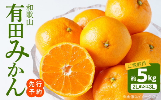 AT6307_ご家庭用　和歌山有田みかん 約5kg (2L、3Lサイズいずれ