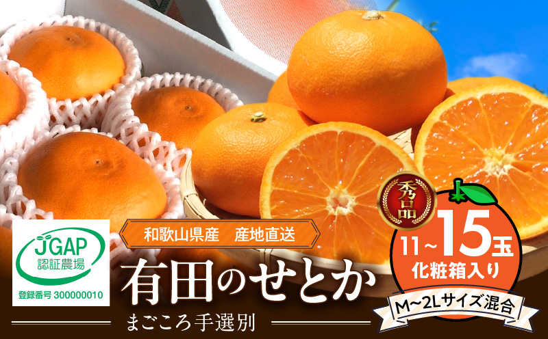 ZE6401n_【2026年先行予約】湯浅町産せとか11～15玉（M～2Lサイ