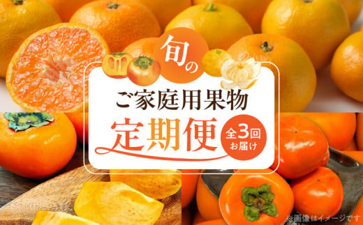 G60-T80_【定期便 全3回】紀州和歌山産旬のご家庭用果物セッ