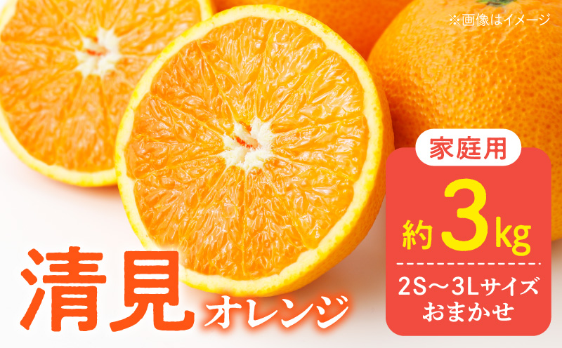 DZ6226_【2026年先行予約】訳あり 家庭用 きよみ 清美オレンジ