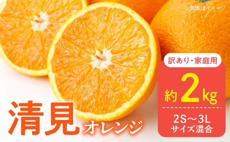 DZ6227_【2026年先行予約】訳あり 家庭用 きよみ 清美オレンジ