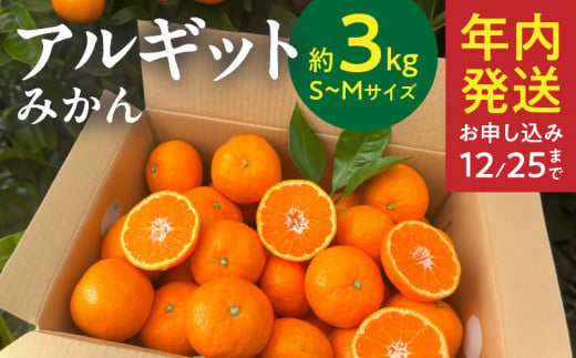 YA1000_完熟 アルギット みかん 3kg S～M サイズ