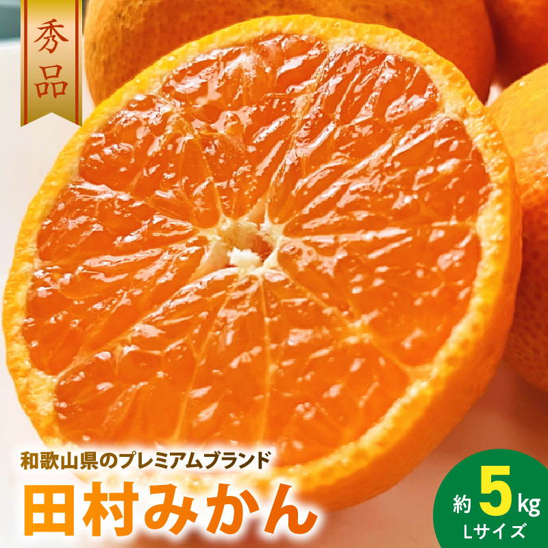 AB7305_ プレミアムブランド 田村みかん Lサイズ 秀品  約5kg