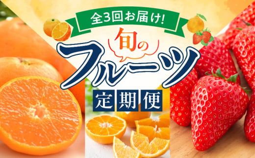 G60-T78_【定期便 全3回】紀州和歌山産旬のフルーツ定期便（