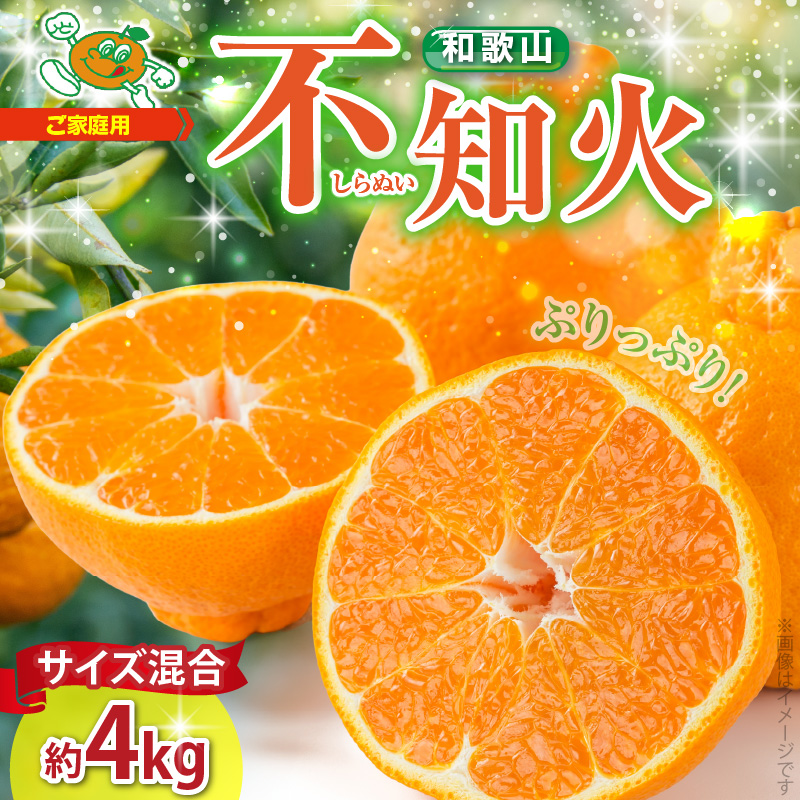 ZJ6094_【2026年先行予約】不知火(しらぬい) オレンジ みかん