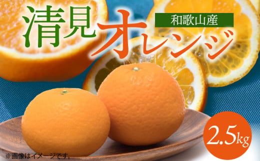 G7328_【2026年先行予約】とにかくジューシー 清見 オレンジ 2