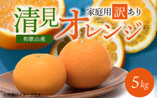 G7329_【2026年先行予約】紀州有田産 清見 オレンジ 5kg【家庭
