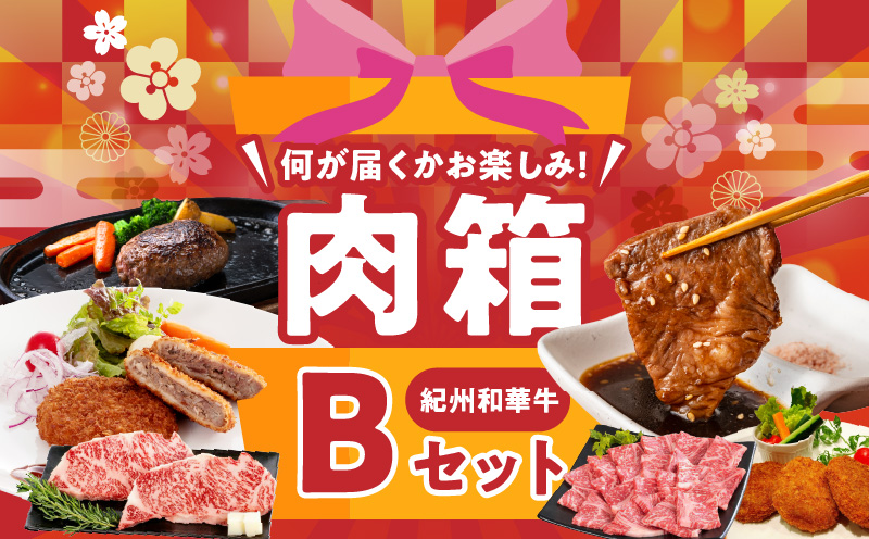 BN6136_お楽しみ肉箱 Bセット お試し ドキドキ 黒毛和牛 ハン