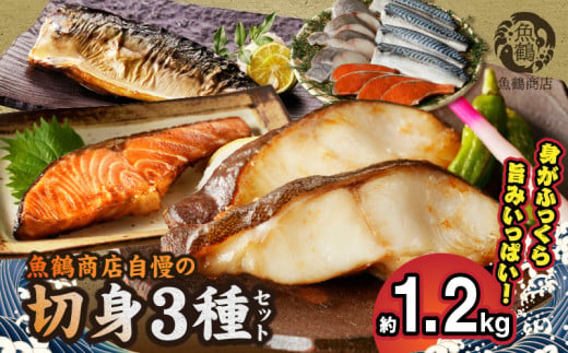 G7338_銀だら 銀鮭 切身 各 4切 塩さば フィレ 4枚 真空パック