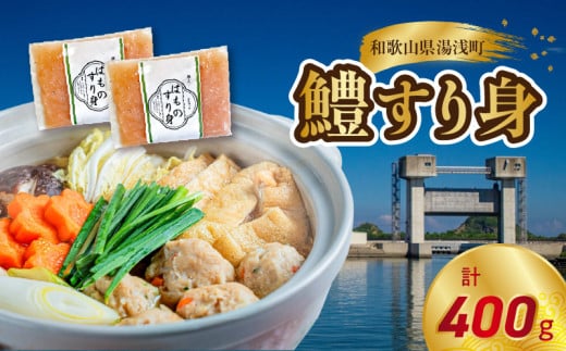 SD1001_鱧すり身 200g × 2個 高級魚 鱧 漁港直送 その日に加工