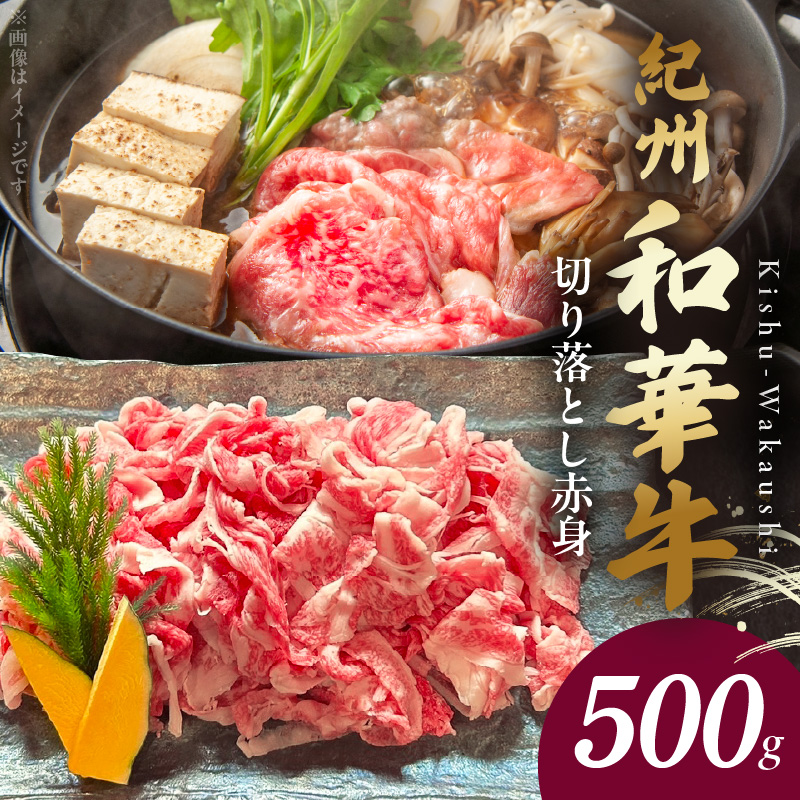 BN6050_G_紀州和華牛　切り落とし【赤身】500g　【ギフト用】