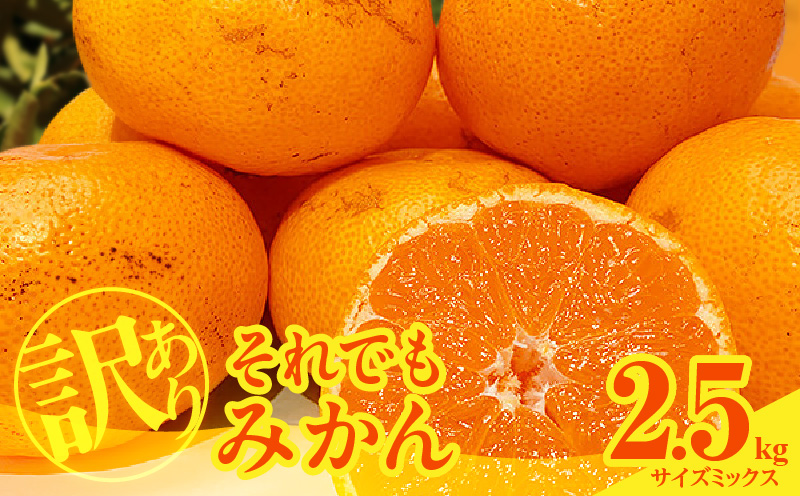 MK1048_訳あり それでも みかん 箱込 2.5kg ( 内容量 2.3kg ) サイ