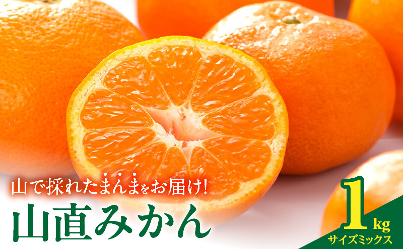 MK1050_みかん 山から直送 箱込 1kg ( 内容量 0.9kg ) 鮮度優先ご